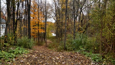 Forest River 2