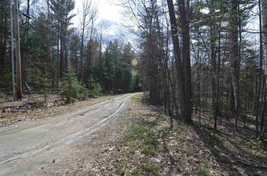 0 Berry Patch Ln unit 45-2, Ludlow, VT 05149 - photo 5