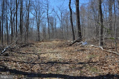 16418 Cedar Grove, Sparks, MD 21152 - photo 2