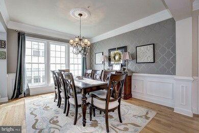 14208 Drayton Ave, Silver Spring, MD 20904 - photo 4