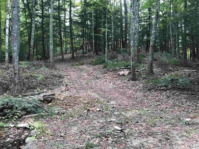 00 Middle Rd unit Map R-2 lot 32, Hancock, NH 03449 - photo 2
