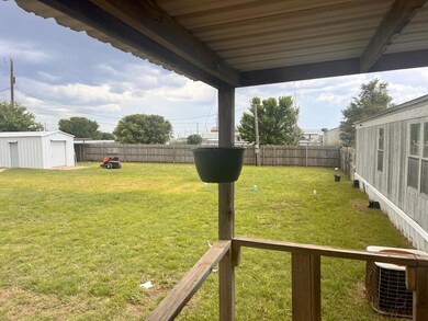 Backyard2