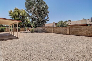 103 Backyard - Copy