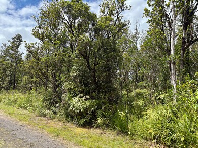0 Alapua St unit 725668, Mountain View, HI 96771 - photo 2