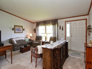 572 W 136th Street Grant MI-large-008-Li