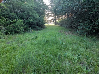 Walking path between two clearings running north t