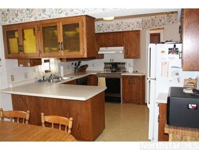 4742 4742 Sycamore Trail, Medina, MN 55359 - photo 5