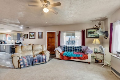 202 E Waldo St, Darby, MT 59829 - photo 4