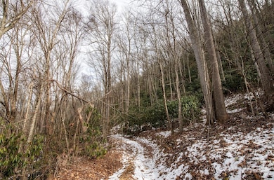 00 Lori Ln, Whittier, NC 28789 - photo 2