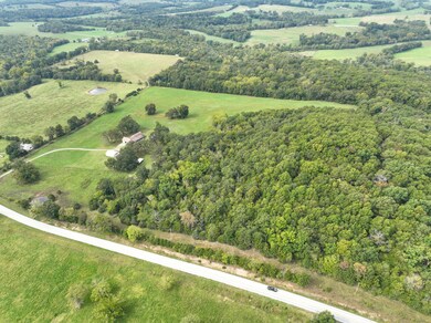 DJI_0345