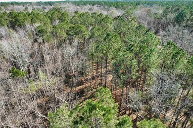 2894 SW Overstreet Ave, Greenville, FL 32331 - photo 5