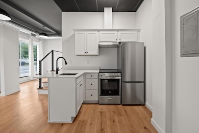 435 N Washington Ave, Royal Oak, MI 48067 - photo 5