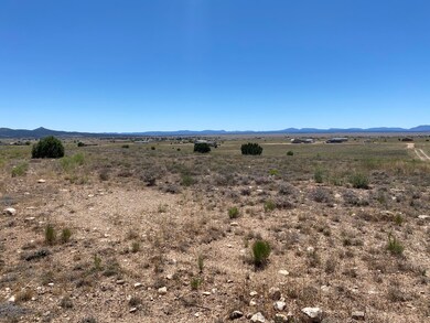 0 W Saber Ln unit 1030011, Paulden, AZ 86334 - photo 7