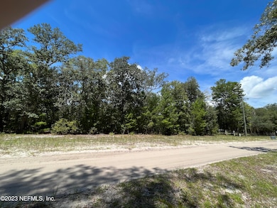 127 Indian Trail, Florahome, FL 32140 - photo 5