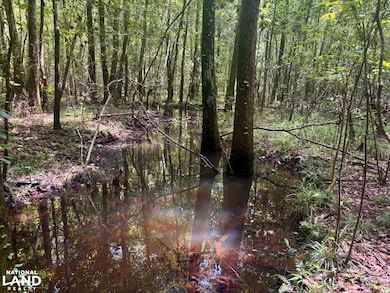 000 Pebble Cove Rd, Abbeville, AL 36310 - photo 2