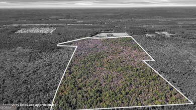 215 Herbert Kessler Rd, Guyton, GA 31312 - photo 2