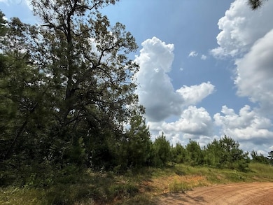 2800 County Road 441, Magnolia Springs, TX 75956 - photo 2