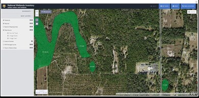 390 Donaldson-Williams Rd, Crawfordville, FL 32327 - photo 6