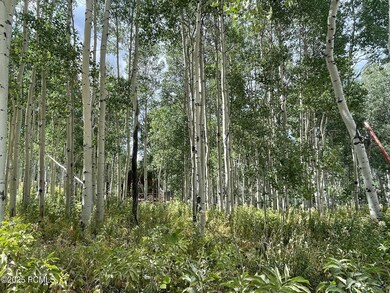 11485 E Violet Way unit 1845, Heber City, UT 84032 - photo 5