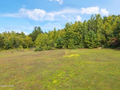 L113 Hemlock Ridge Way, Stephentown, NY 12168 - photo 4