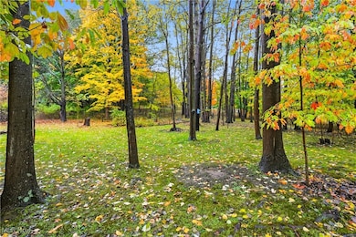 2355 Martin Rd, Mogadore, OH 44260 - photo 6