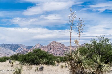 36.33 Acre E Tom Jeffords Dr unit 66, St. David, AZ 85630 - photo 5