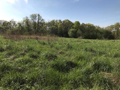 0 W Lot 3 Itaska unit 60088103, Nixa, MO 65714 - photo 4