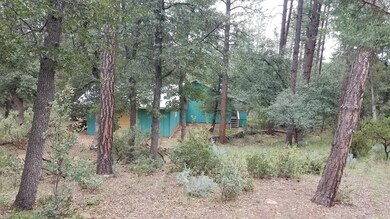 4159 N Wilbur Ave, Pine, AZ 85544 - photo 2