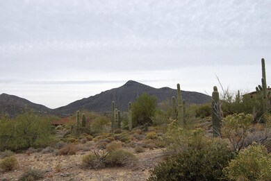 Saguaro Forest 132 9921 E Honey Mesquite