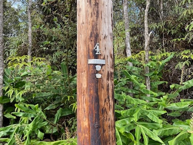 0 First St unit 725813, Volcano, HI 96785 - photo 5