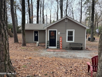 390 Phillips Hill Rd, Conway, NC 27820 - photo 2