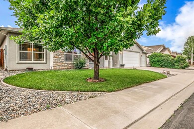 2516 Hayes Dr, Grand Junction, CO 81505 - photo 4