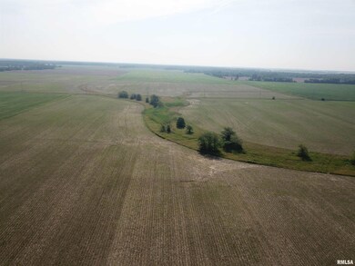 000 N Stanford Rd, Flora, IL 62839 - photo 4