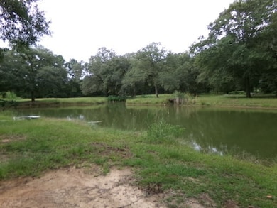 3144 Old Pelham Rd, Camilla, GA 31730 - photo 5