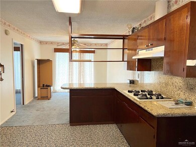 317 E Wright Ave, Pharr, TX 78577 - photo 7