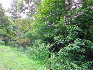 158 Rocky Knob Loop, Burnsville, NC 28714 - photo 3