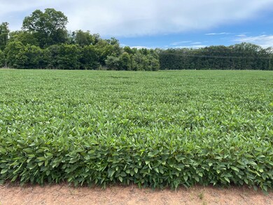 0 Hwy 71 unit 11462320, Colfax, LA 71417 - photo 3