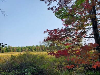 0 N Beaver Trail, Lilley Township, MI 49309 - photo 7