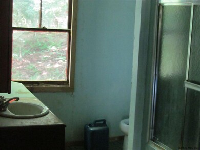 474 Lake Desolation Rd, Middle Grove, NY 12850 - photo 5