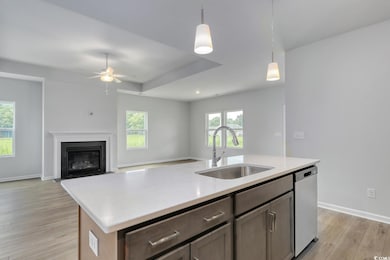 362 Garden Grove St, Conway, SC 29526 - photo 5