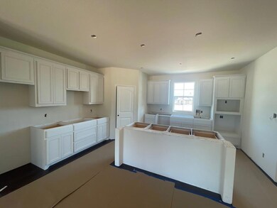 158 Chester Rd, Springtown, TX 76082 - photo 4