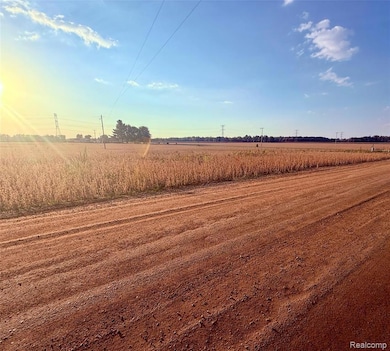 00 Raucholz Rd, Brant Township, MI 48616 - photo 3