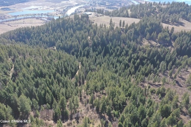 DJI_0664