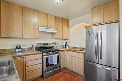 601 Chipeta Dr, Ridgway, CO 81432 - photo 7