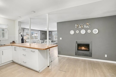 621 Lockwood St, Chesaning, MI 48616 - photo 7