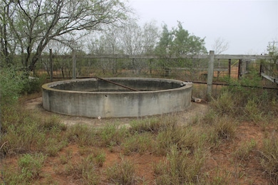 8993 County Road 101, San Diego, TX 78384 - photo 6