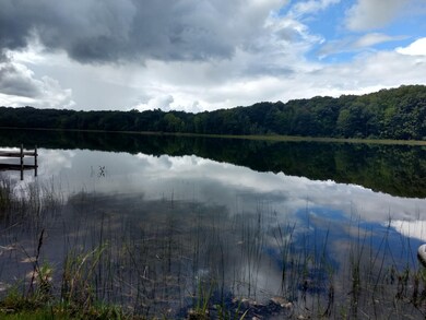 10103 N Lake Shore Dr, Merrill Township, MI 49309 - photo 4