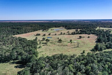 485 Fm 230, Trinity, TX 75862 - photo 6