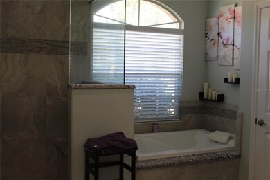 Master Jetted Tub next to Shower