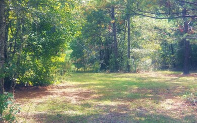 3156 NW Moore Rd, Lake City, FL 32055 - photo 2